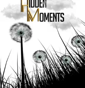 HIDDEN MOMENTS: A Short Story Collection (Paperback)